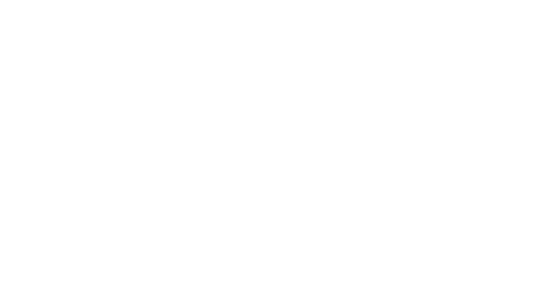 Logo TecnoTransportar